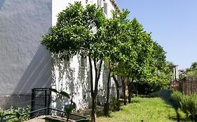 Apartment Blue & Green